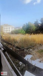 Konut-Daire