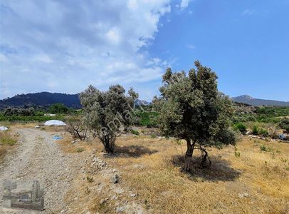 Arsa-Villa İmarlı