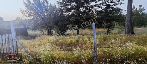 Arsa-Konut İmarlı