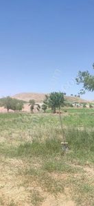 Arsa-Bağ & Bahçe