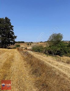 Arsa-Tarla