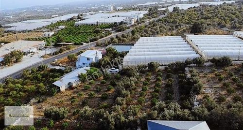 Arsa-Villa İmarlı