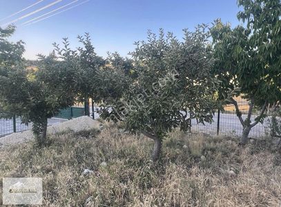 Arsa-Villa İmarlı