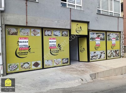 İşyeri-Dükkan & Mağaza