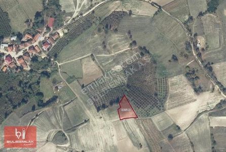 Arsa-Tarla