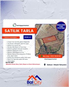 Arsa-Tarla
