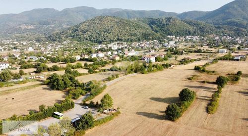Arsa-Tarla