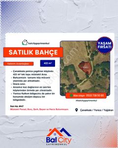 Arsa-Tarla