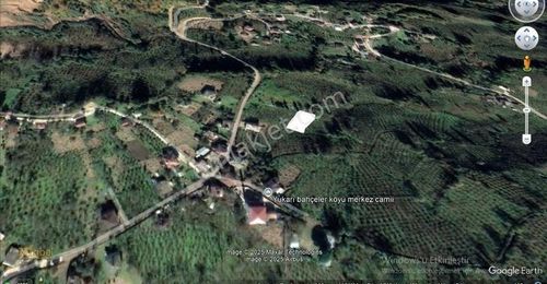Arsa-Tarla