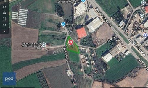 Arsa-Tarla