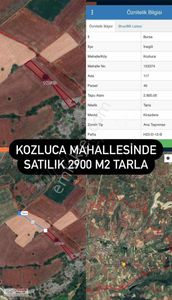 Arsa-Tarla