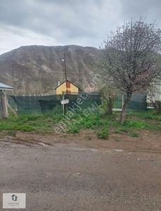 Arsa-Tarla