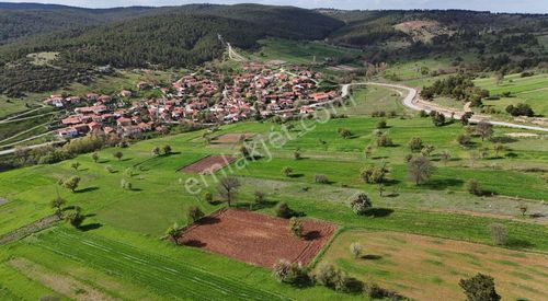 Arsa-Tarla