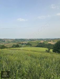 Arsa-Tarla