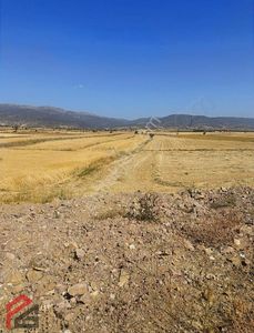 Arsa-Tarla