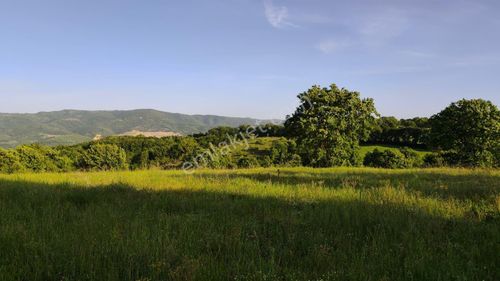 Arsa-Tarla