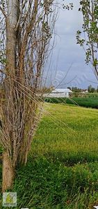 Arsa-Tarla