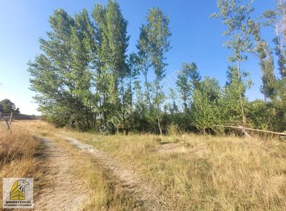 Arsa-Tarla