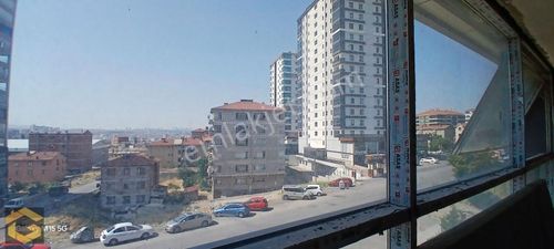 İşyeri-Dükkan & Mağaza