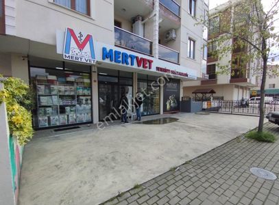 İşyeri-Dükkan & Mağaza