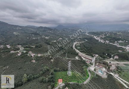 Arsa-Bağ & Bahçe