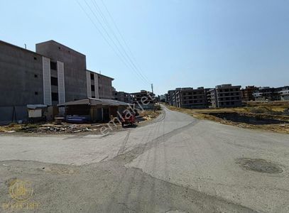 Arsa-Konut İmarlı