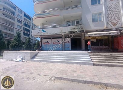 İşyeri-Dükkan & Mağaza