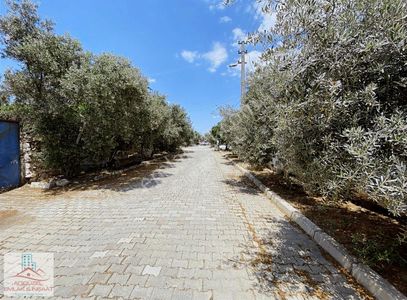 Arsa-Villa İmarlı