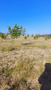 Arsa-Tarla