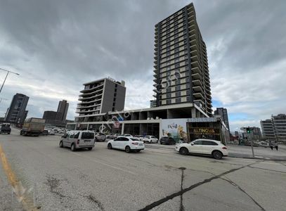 İşyeri-Dükkan & Mağaza