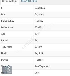 Arsa-Zeytinlik