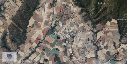 Arsa-Zeytinlik