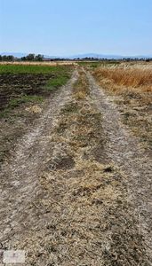 Arsa-Tarla