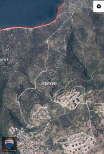 Arsa-Zeytinlik