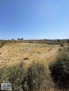 Arsa-Tarla