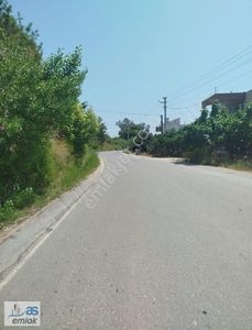 Arsa-Tarla