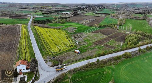 Arsa-Tarla