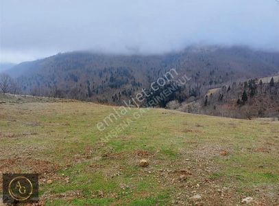 Arsa-Tarla