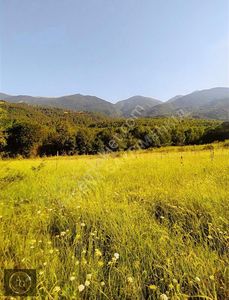 Arsa-Tarla