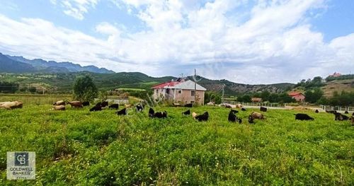 Arsa-Villa İmarlı