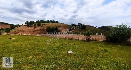 Arsa-Villa İmarlı
