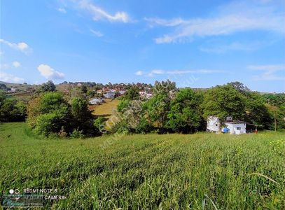 Arsa-Tarla