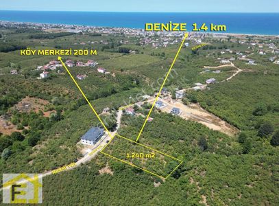 Arsa-Bağ & Bahçe