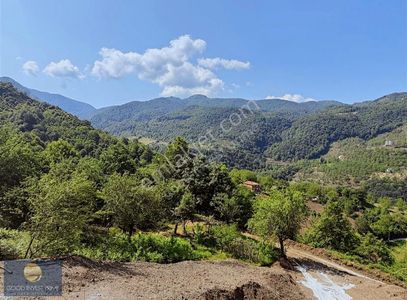 Arsa-Özel Kullanım