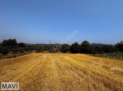 Arsa-Tarla