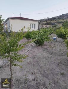 Konut-Müstakil Ev