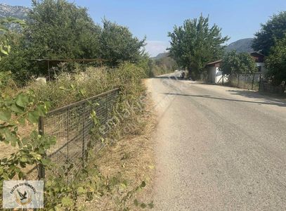 Arsa-Bağ & Bahçe