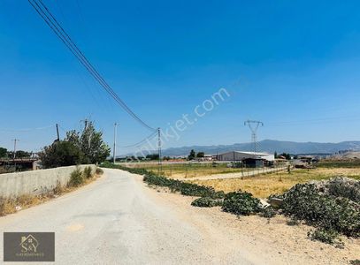 Arsa-Bağ & Bahçe
