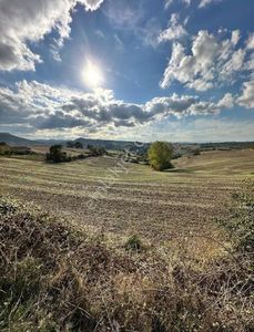 Arsa-Tarla
