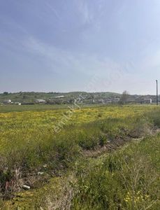 Arsa-Tarla